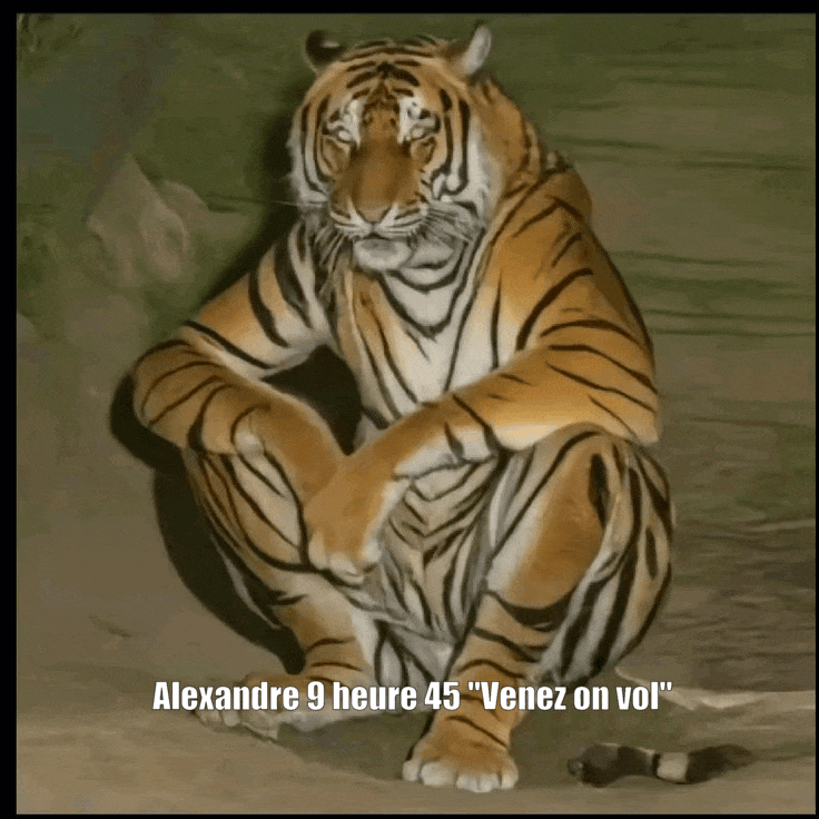 Mode Où est Greg - Personnage mystère